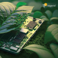 AI and IoT for Sustainable Solutions: How to Incorporate AI into Business Practices for a Greener Future