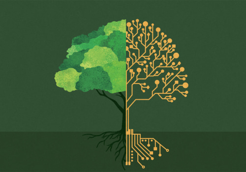 The Economic Benefits of Sustainable AI